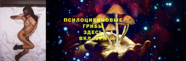 гашик Армянск