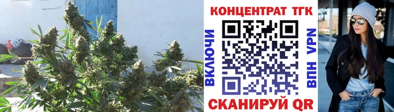 Дистиллят ТГК THC oil  Теберда 