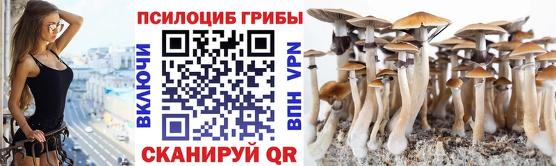Псилоцибиновые грибы MAGIC MUSHROOMS  Теберда 